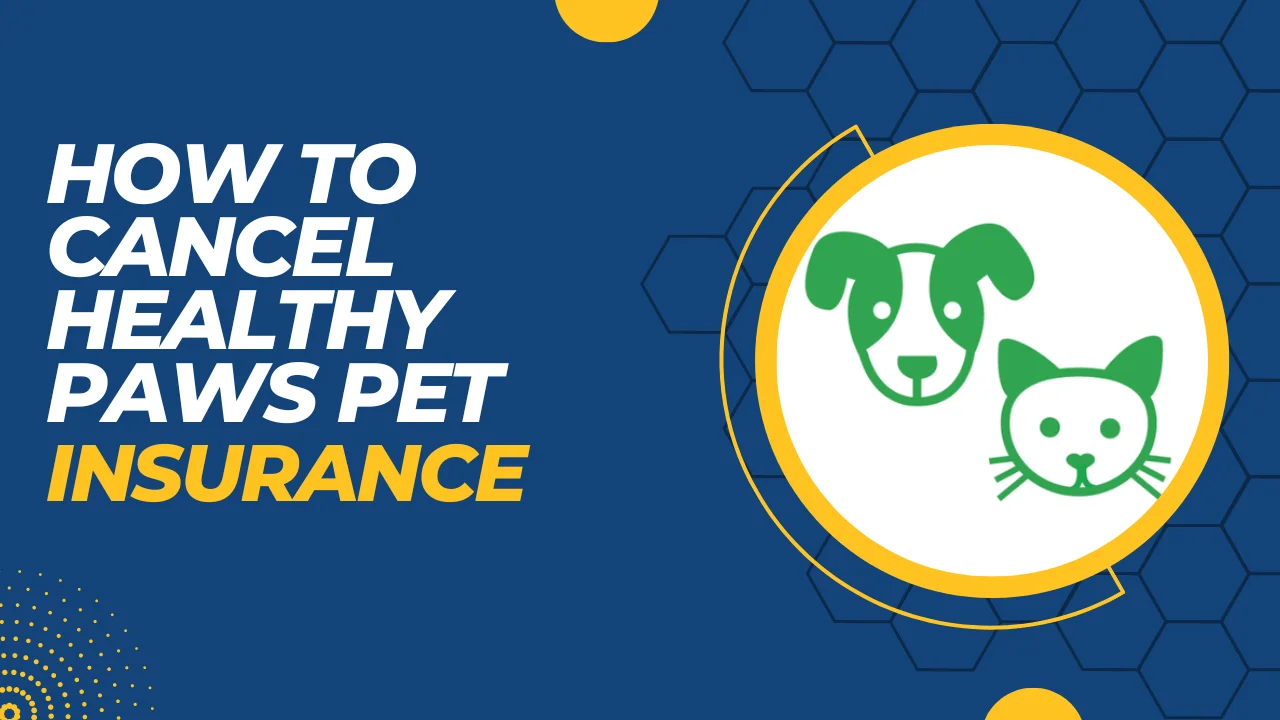 How to Cancel Healthy Paws Pet Insurance? 3 Effective Methods!